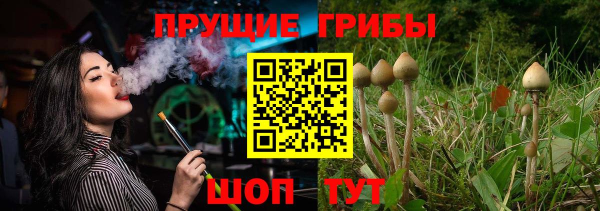 Дагестанские Огни  Псилоцибиновые грибы прущие грибы  Вход с VPN 
