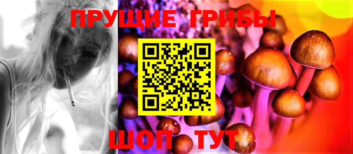 Псилоцибиновые грибы прущие грибы Дагестанские Огни